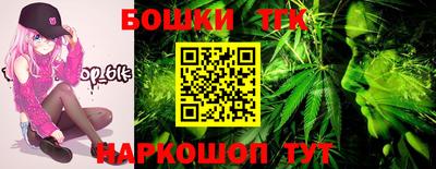гидра Заводоуковск