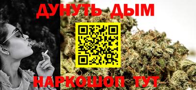 гидра Заводоуковск